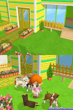 Image n° 3 - screenshots : Kawaii Koinu DS 2 (v02)